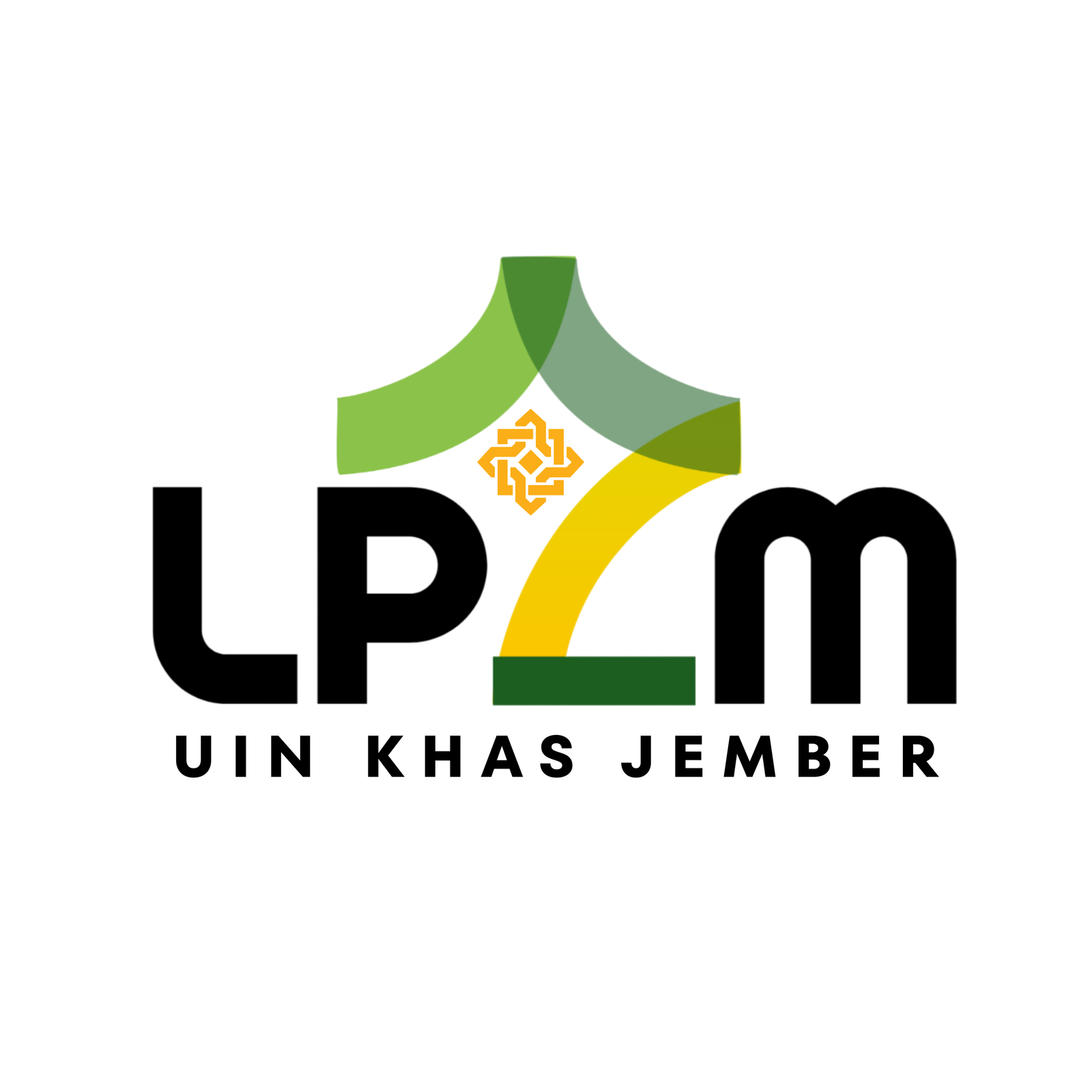 Logo LP2M